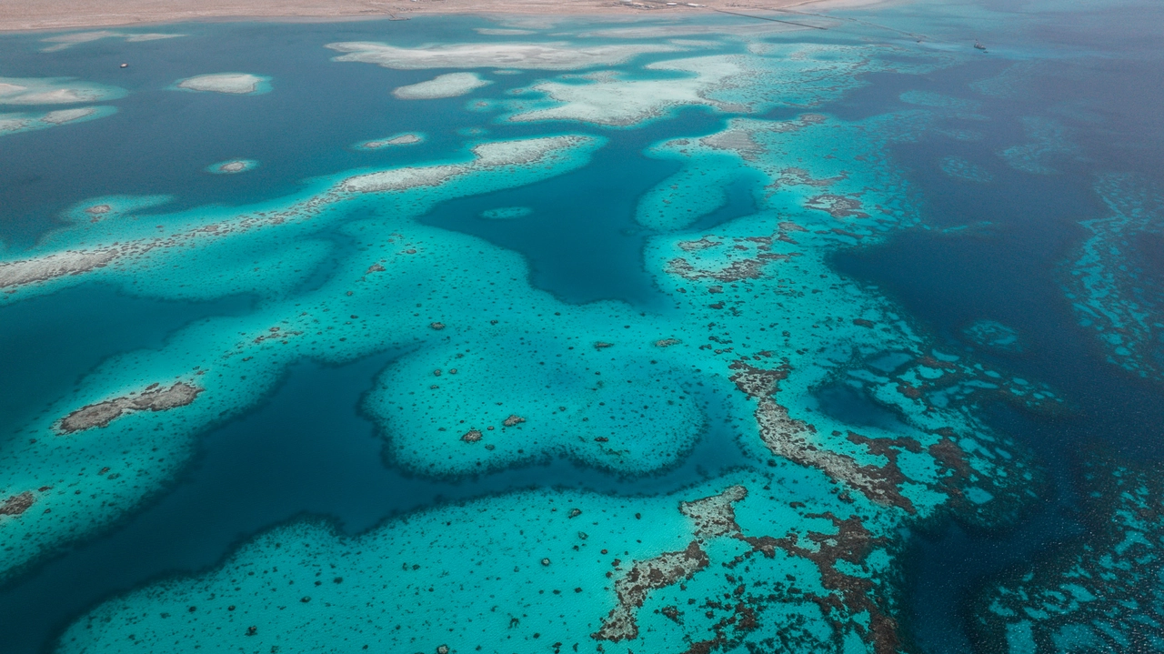 درجة الحرارة