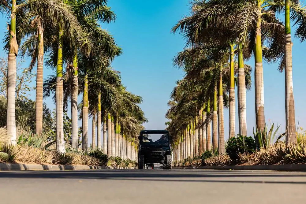 Nursery: Connecting Nature by Walk