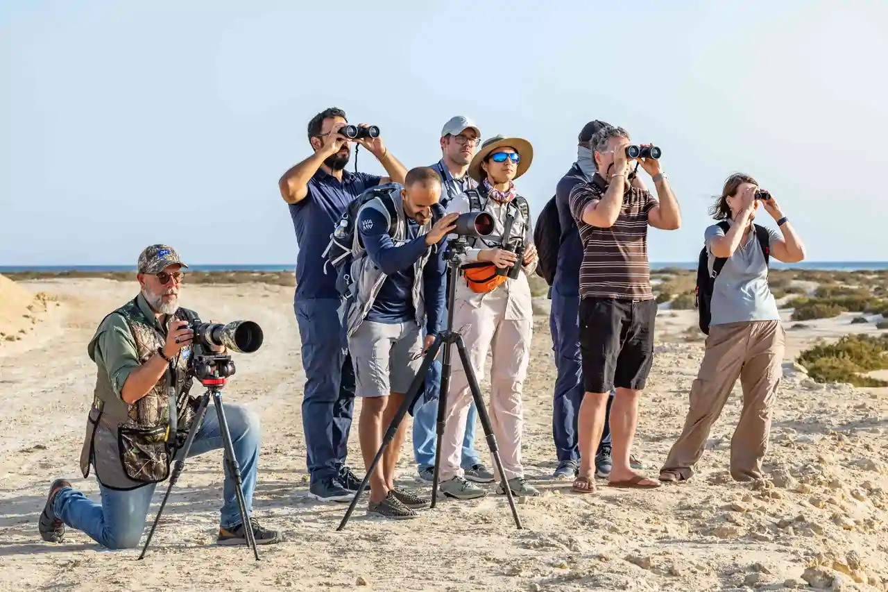 Tours and Excursions