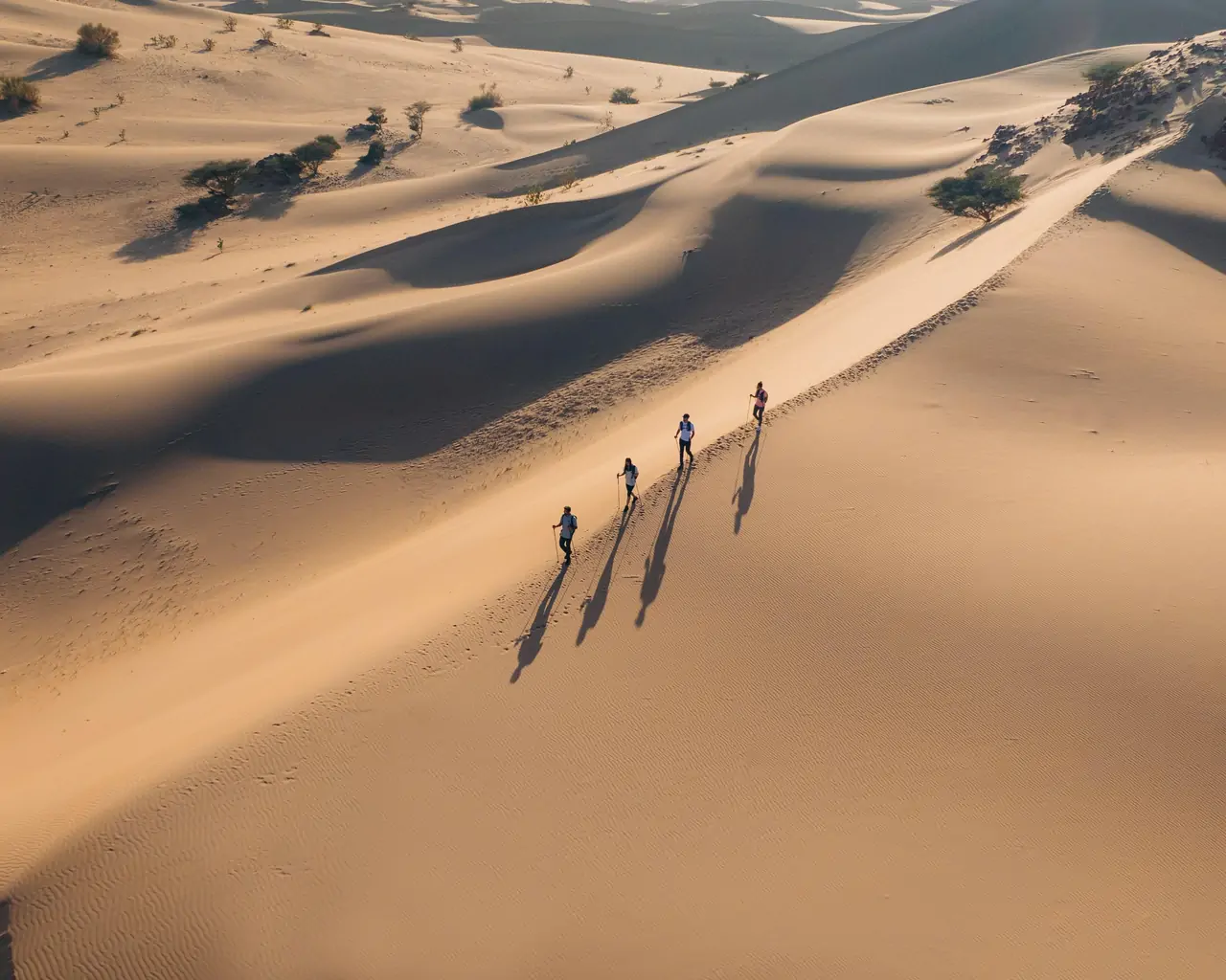 Al Saala Wadi Nature Walk