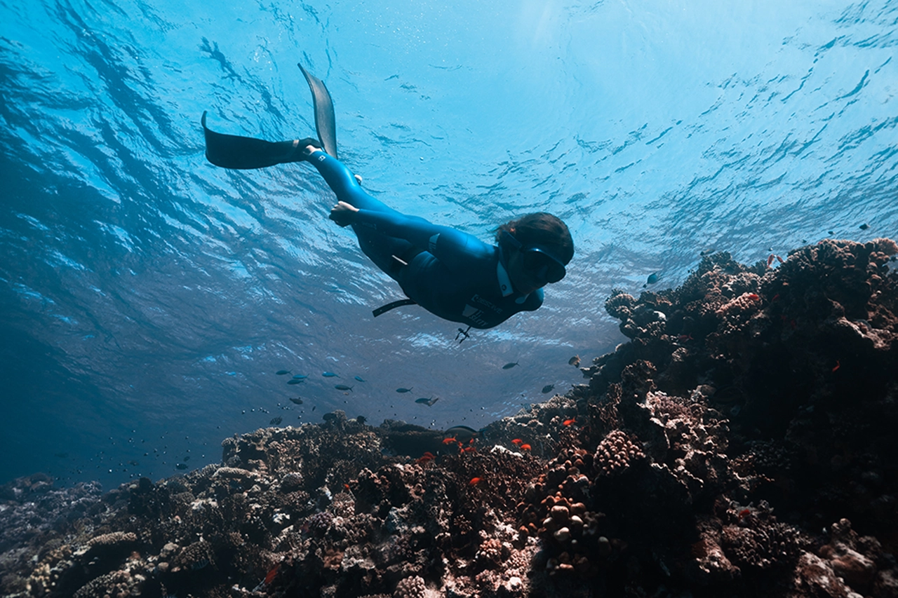 Private Charter Outer Reef