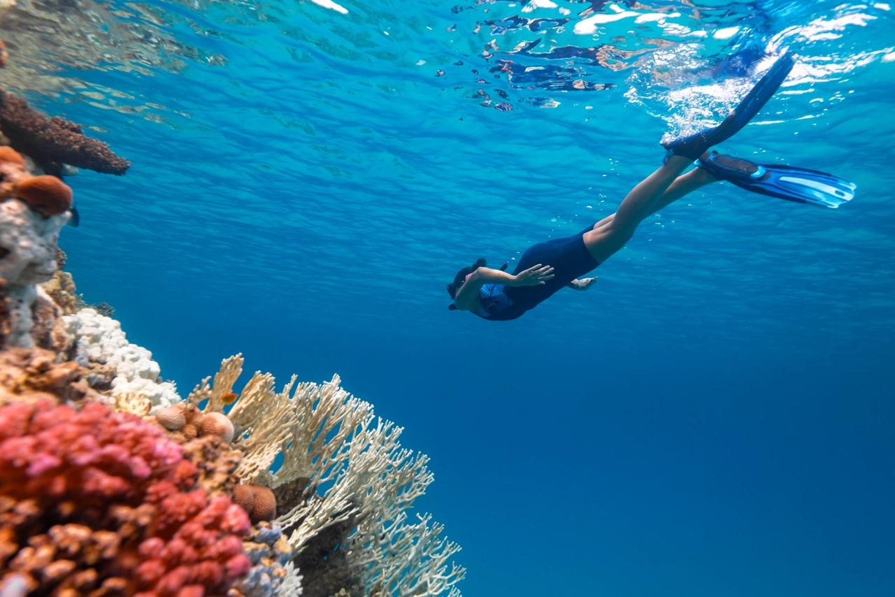 Private Charter House Reef