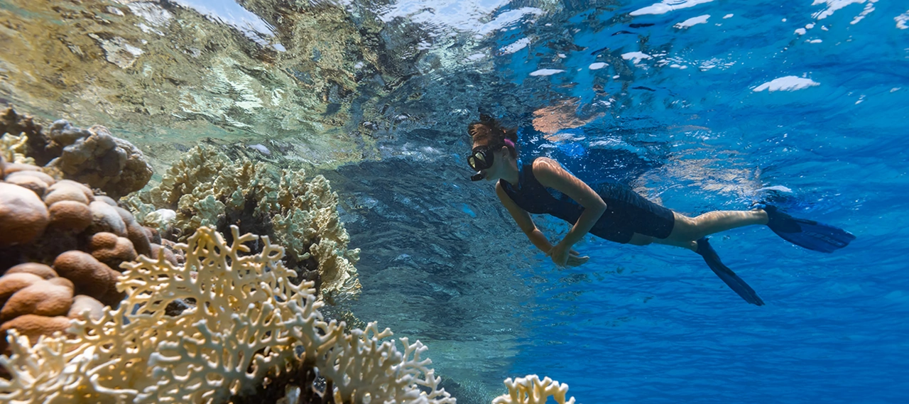 Outer Reef Guided Snorkel