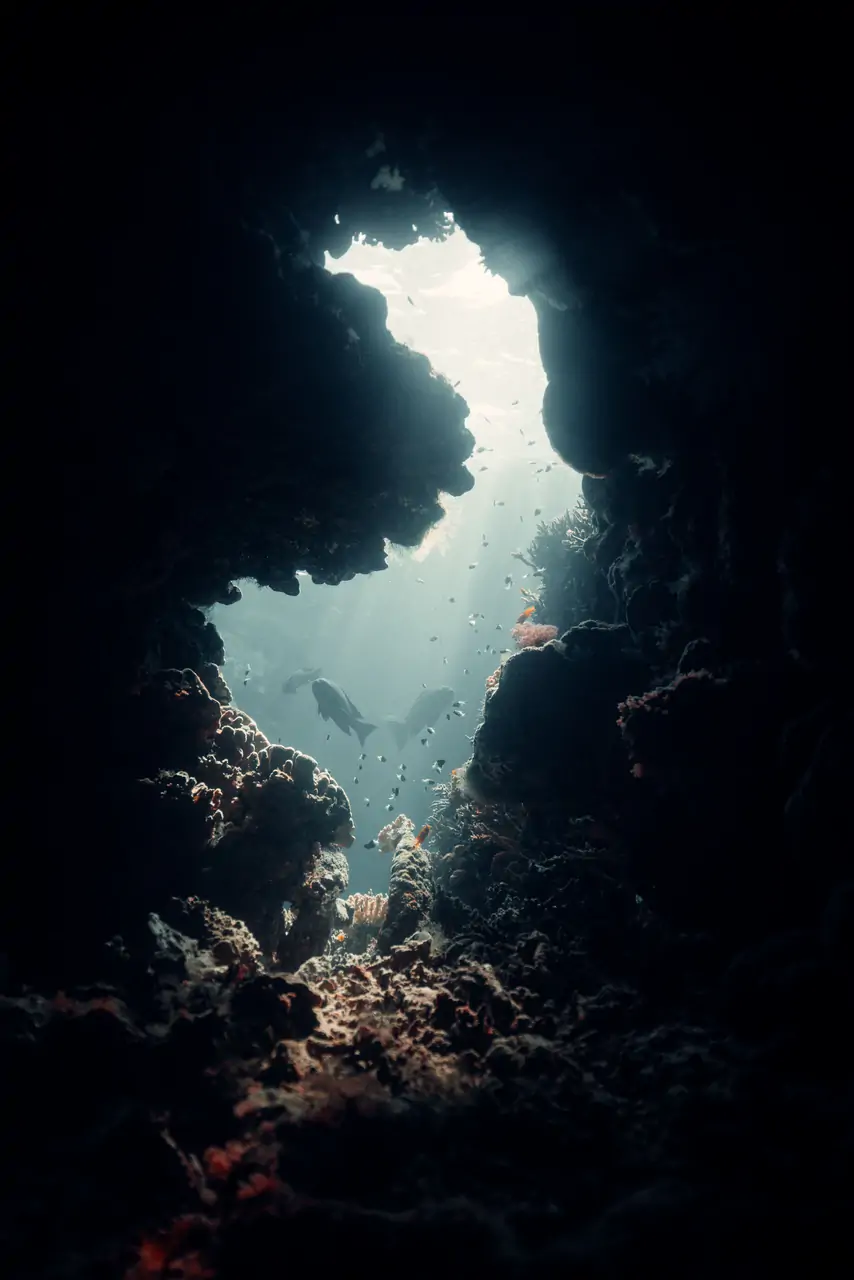 Entry Level Course - Open Water Course