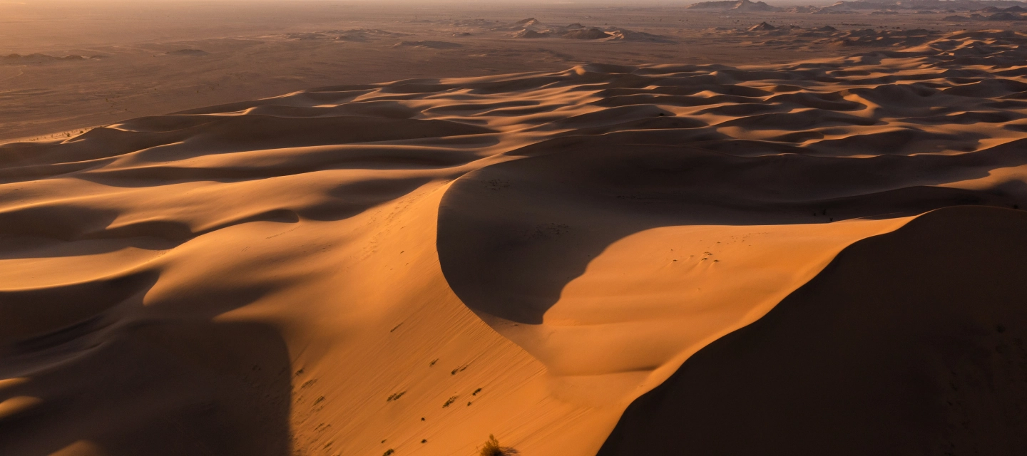 فيزت ريد سي